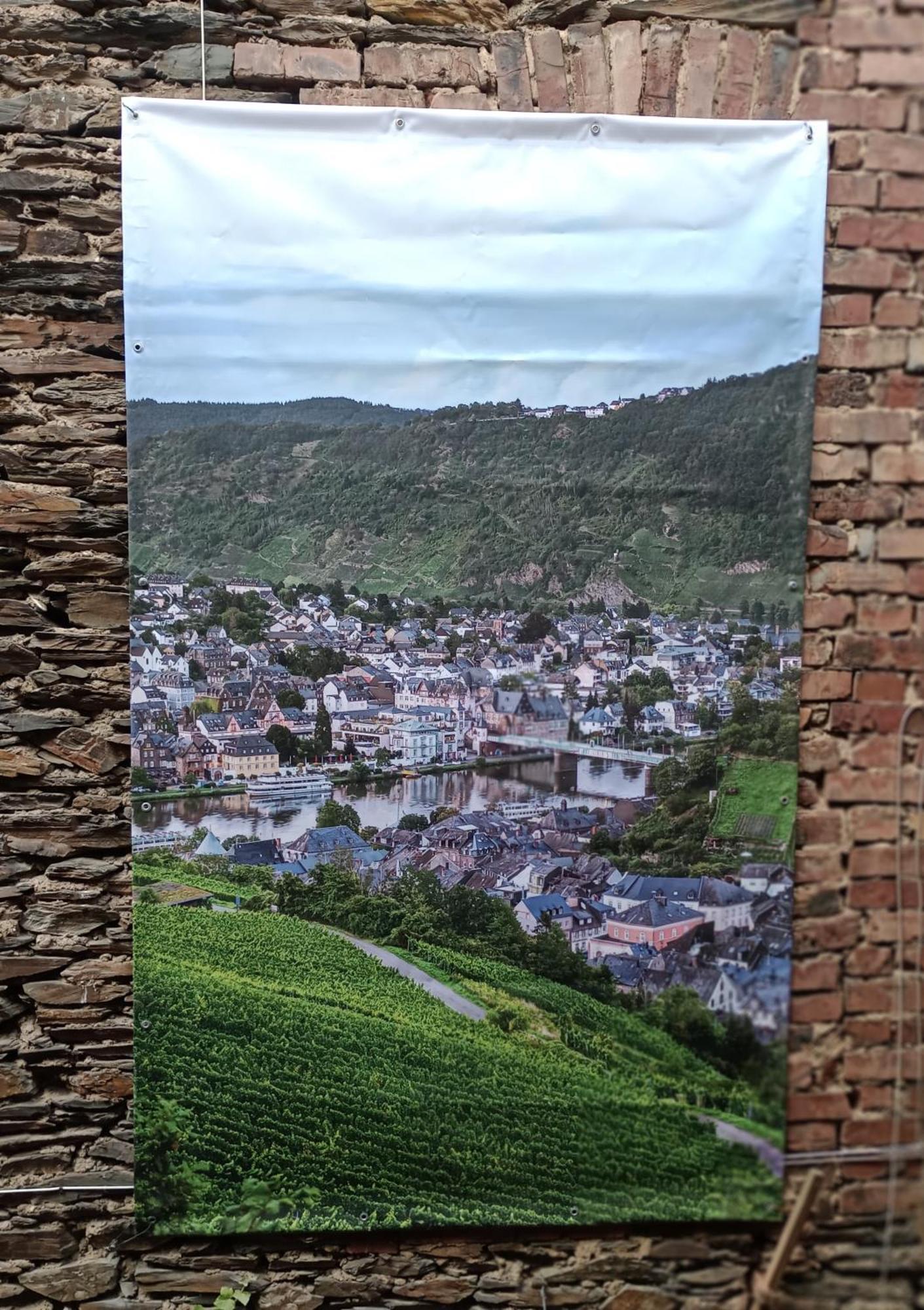 Alte Brennerei Apartments Traben-Trarbach Esterno foto