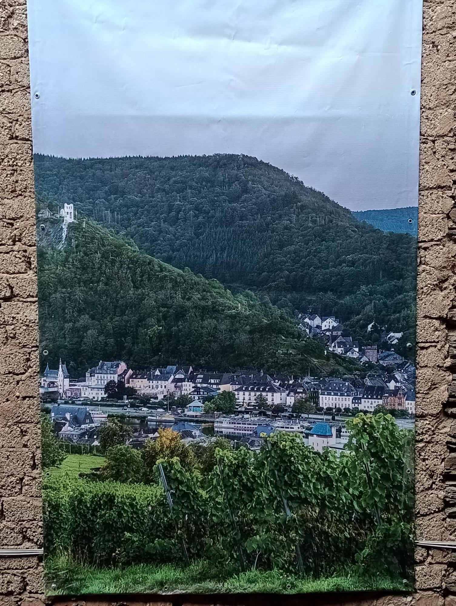 Alte Brennerei Apartments Traben-Trarbach Esterno foto